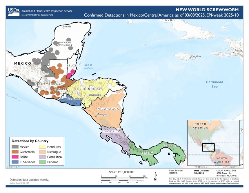 Screenshot2025-03-21at18-33-54NewWorldScrewwormOutbreakinCentralAmerica.png.b4f10c66b3bb5590c7055740c79d5daf.png
