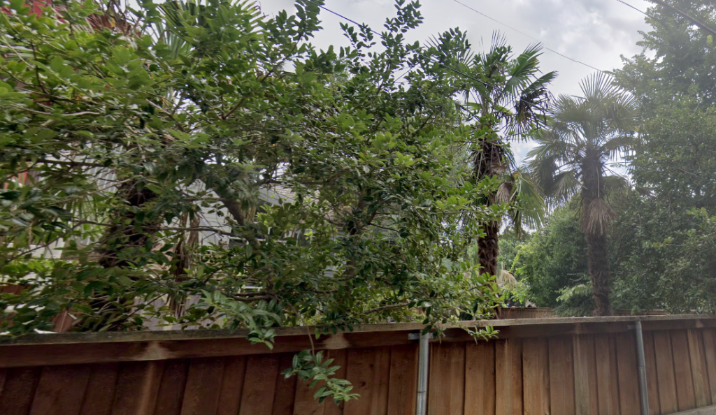 Screenshot 2025-03-21 at 3.43.26 PM.png