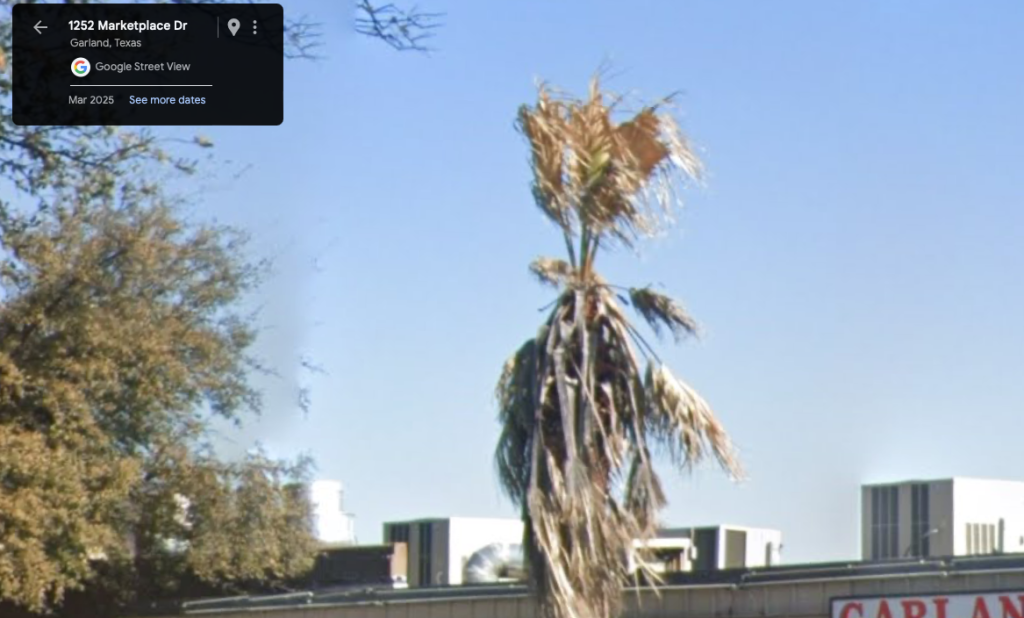 Screenshot 2025-03-27 at 2.58.19 PM.png