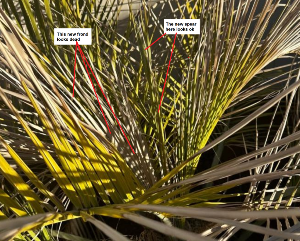 image.thumb.png.c1e20f7feb884965404daf7b1508efce.png
