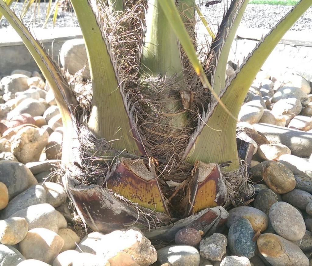 IMAG0542_1.jpg