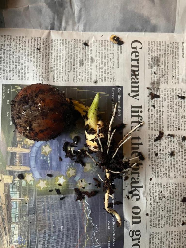 IMG_0647.thumb.jpeg.dd7e50f3c81fb273b8db816cb24fca9e.jpeg