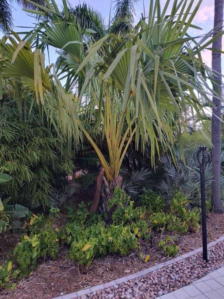 IMG_20240930_071230001_HDR.jpg