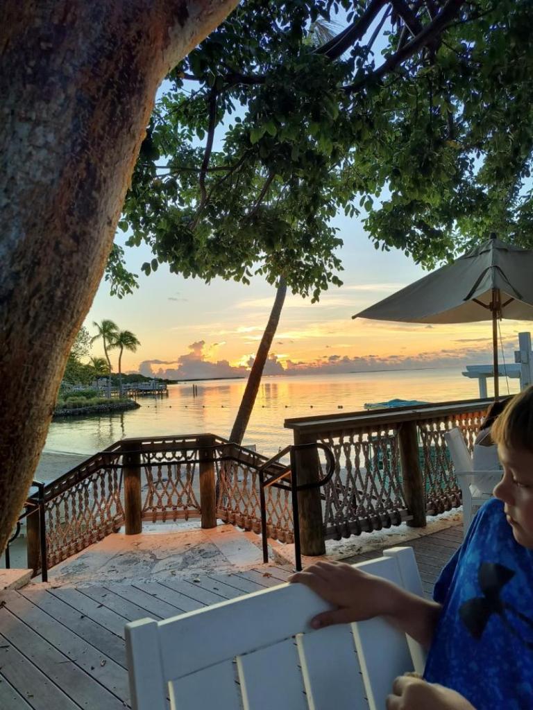 IMG_20241001_190232009_HDR.jpg