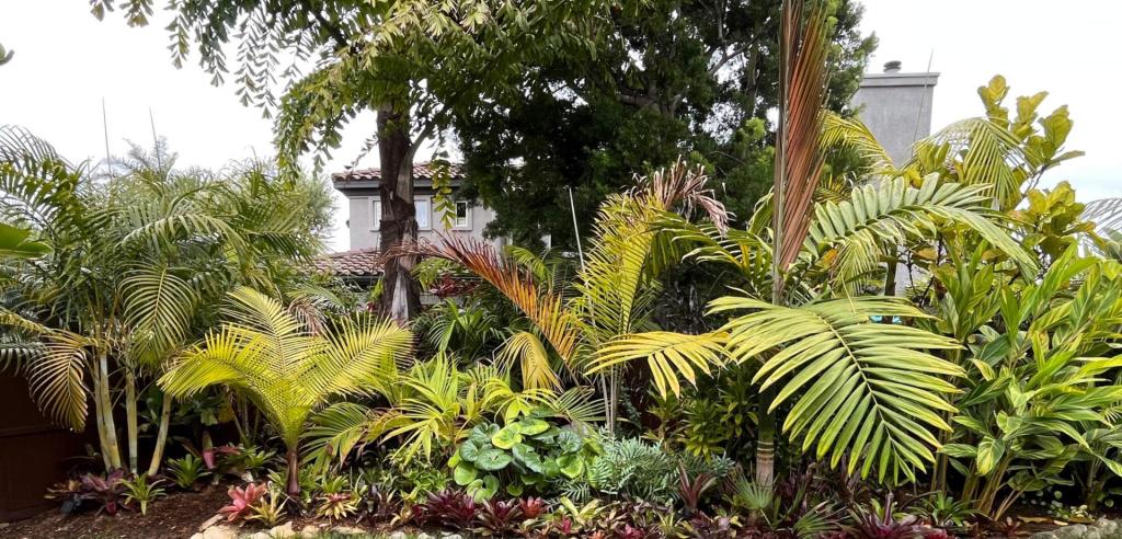 island1.thumb.jpg.517b839bd6d9f153a41775b76f7ffbda.jpg
