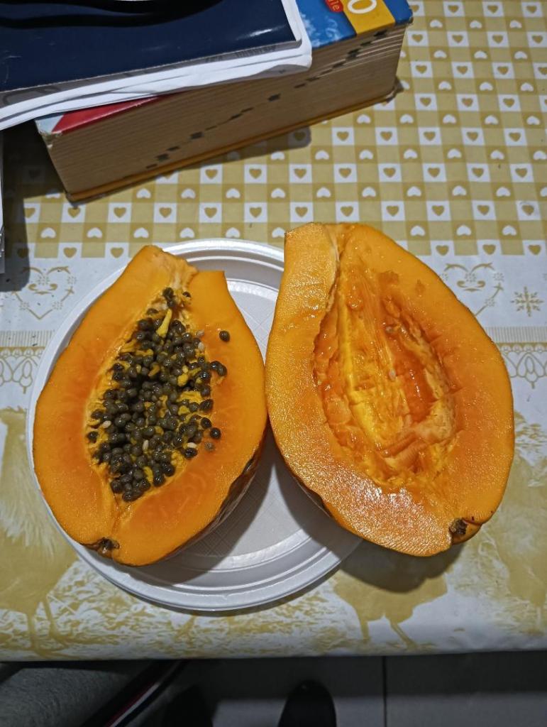 IMG20250509201012.jpg