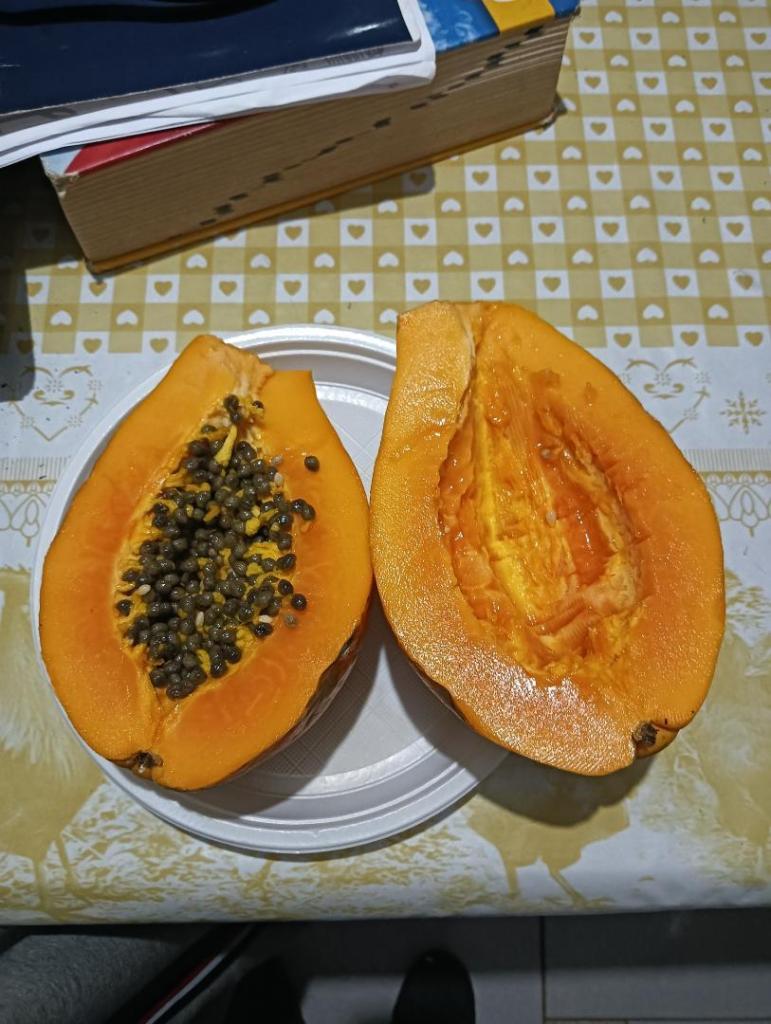 IMG20250509201013.jpg