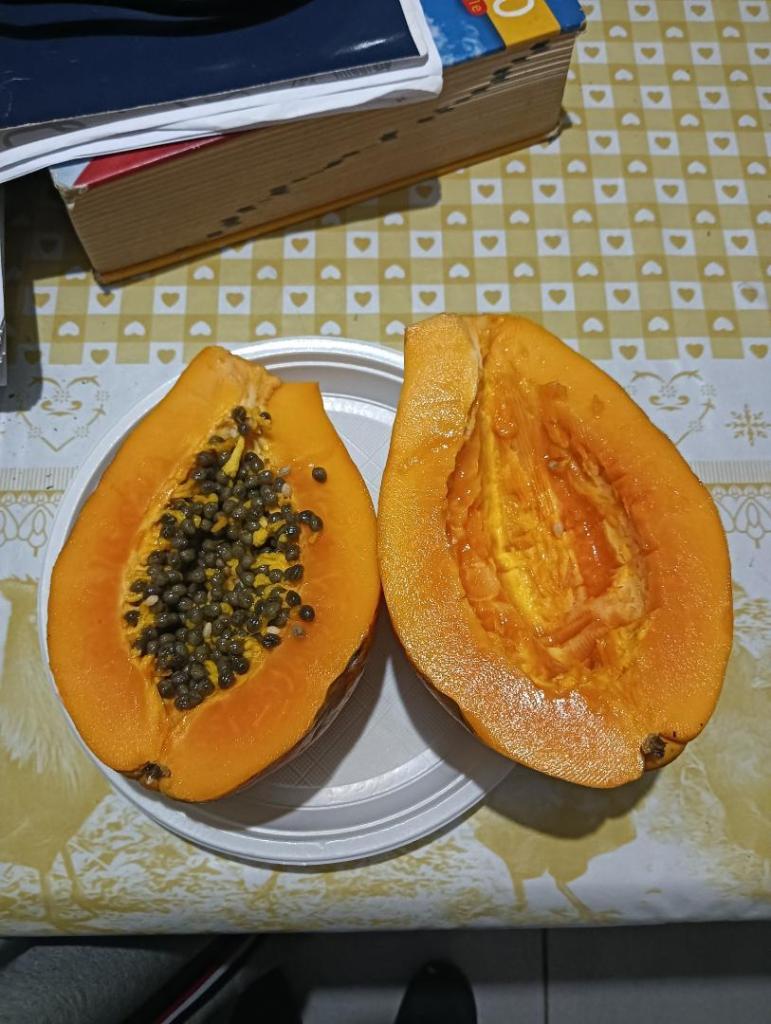 IMG20250509201015.jpg