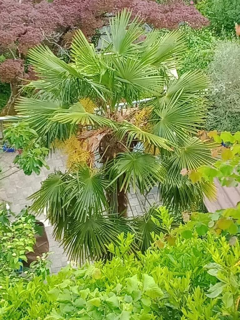 IMG_20250517_172555366.jpg