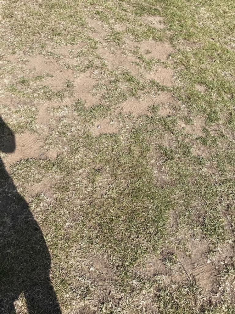 IMG_3210.thumb.jpeg.ac579768b1e437593e5a6beb8f78f94b.jpeg