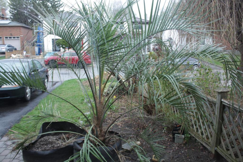 IMG_5678.JPG