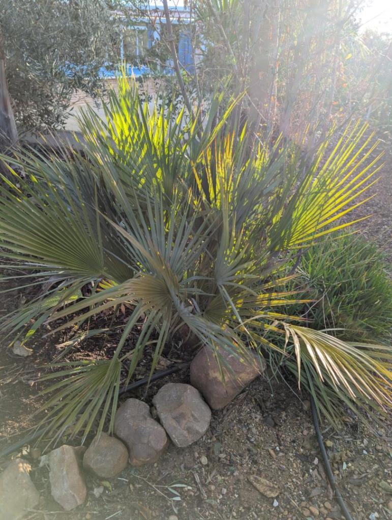 PXL_20250203_083423065.jpg