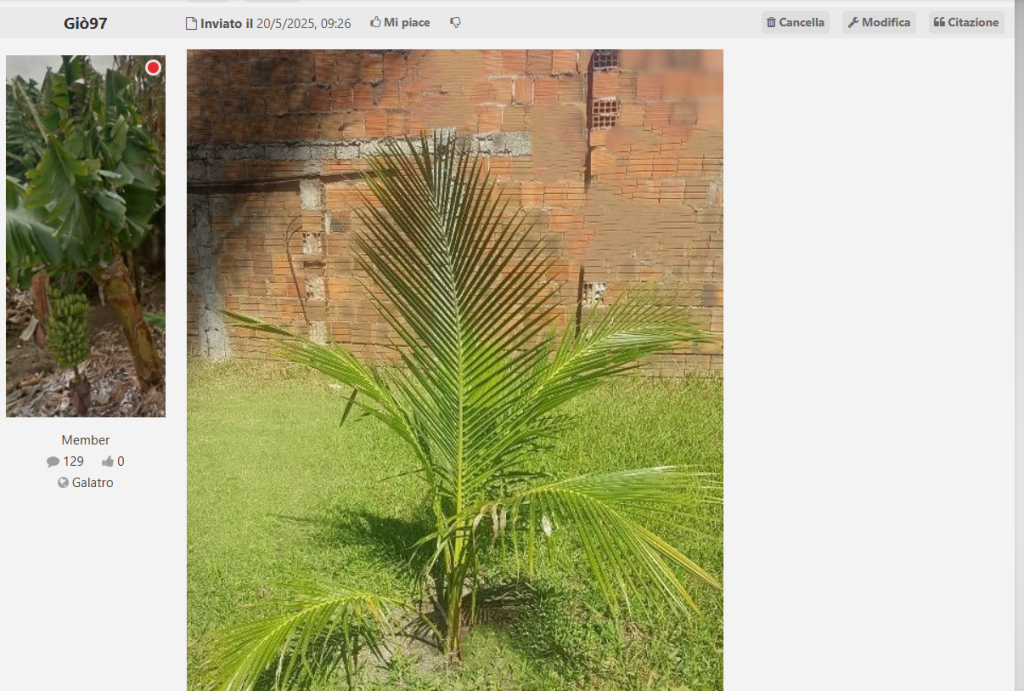 Screenshot 2025-05-20 200932.png