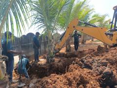 How to Relocate Coconut Trees? | Tree Transplantation Expert Kerala India