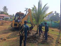 How to Relocate Coconut Trees? | Tree Transplantation Expert Kerala India