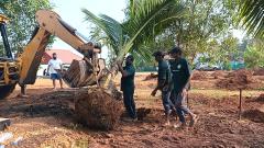 How to Relocate Coconut Trees? | Tree Transplantation Expert Kerala India