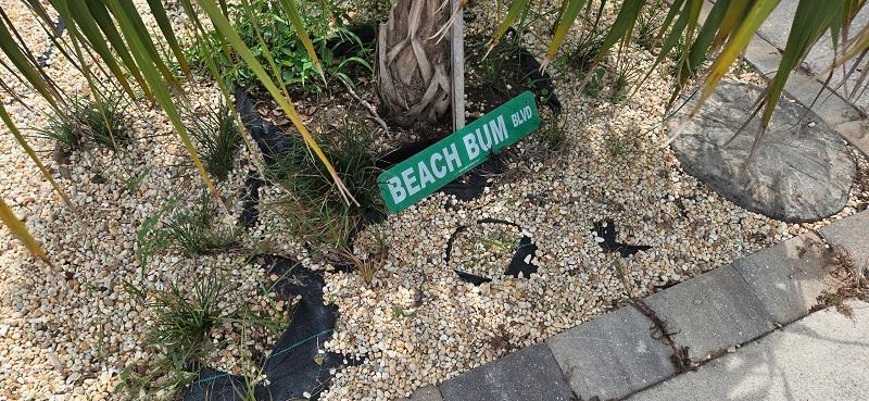 1011_h_BeachBum.jpg.157572c7bbc150277aa2d52058961002.jpg