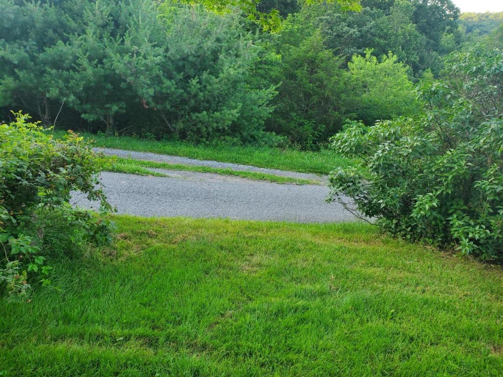 20250623_200314.jpg