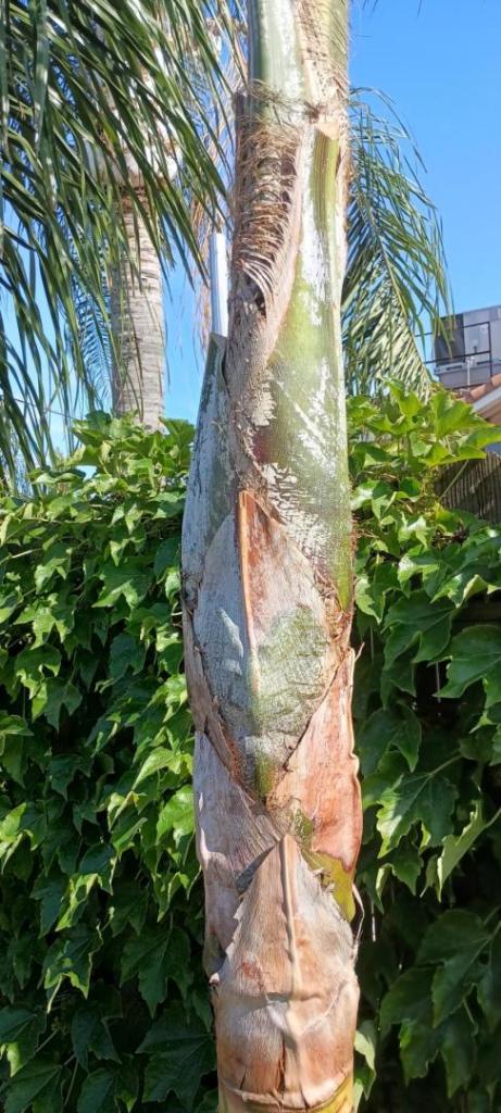 IMG_20250624_170448004_HDR.jpg