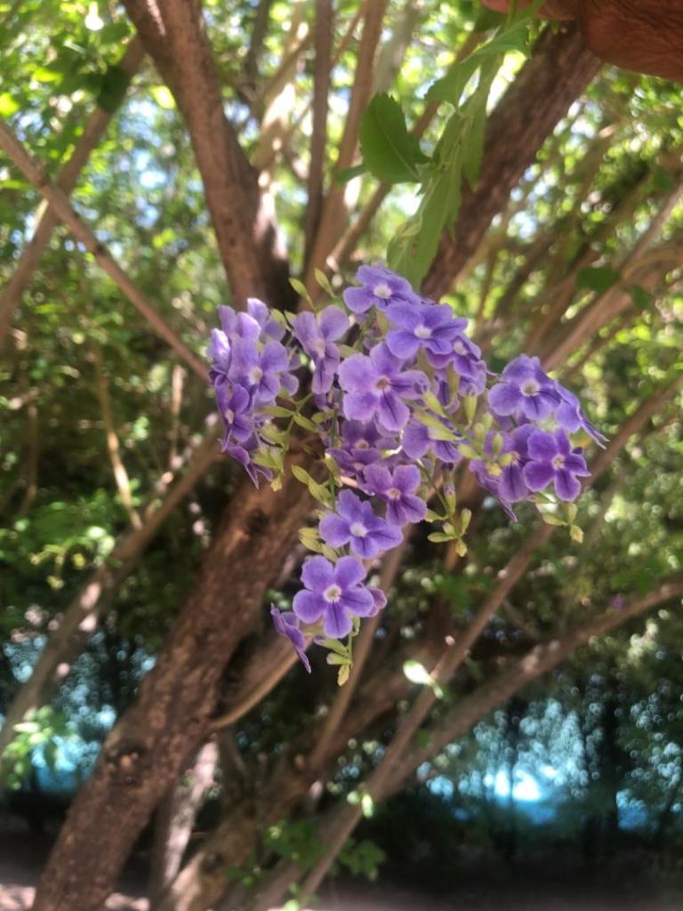 IMG_9861.jpeg
