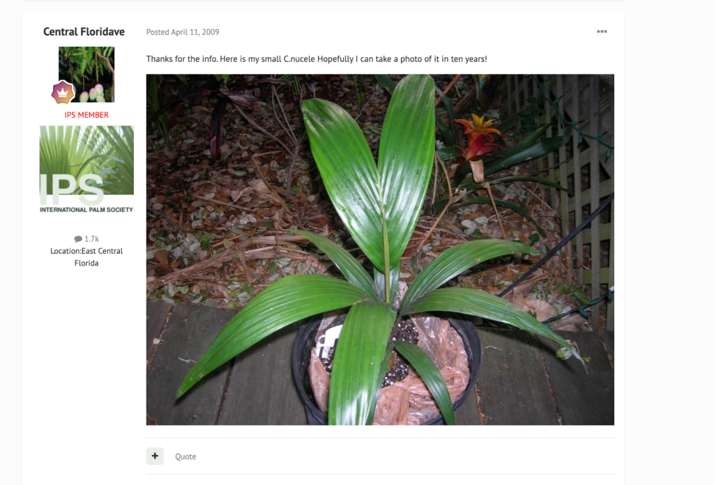 Screenshot 2025-06-20 at 12.59.39 PM.png