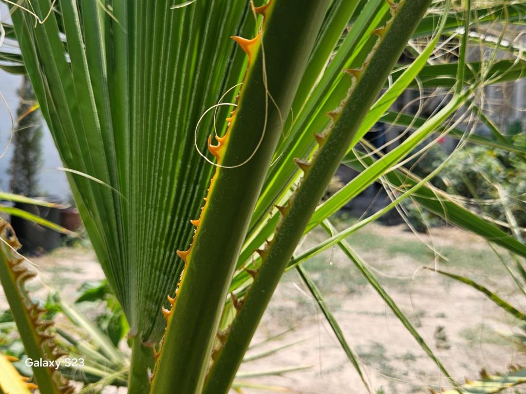 20250720_123643.jpg