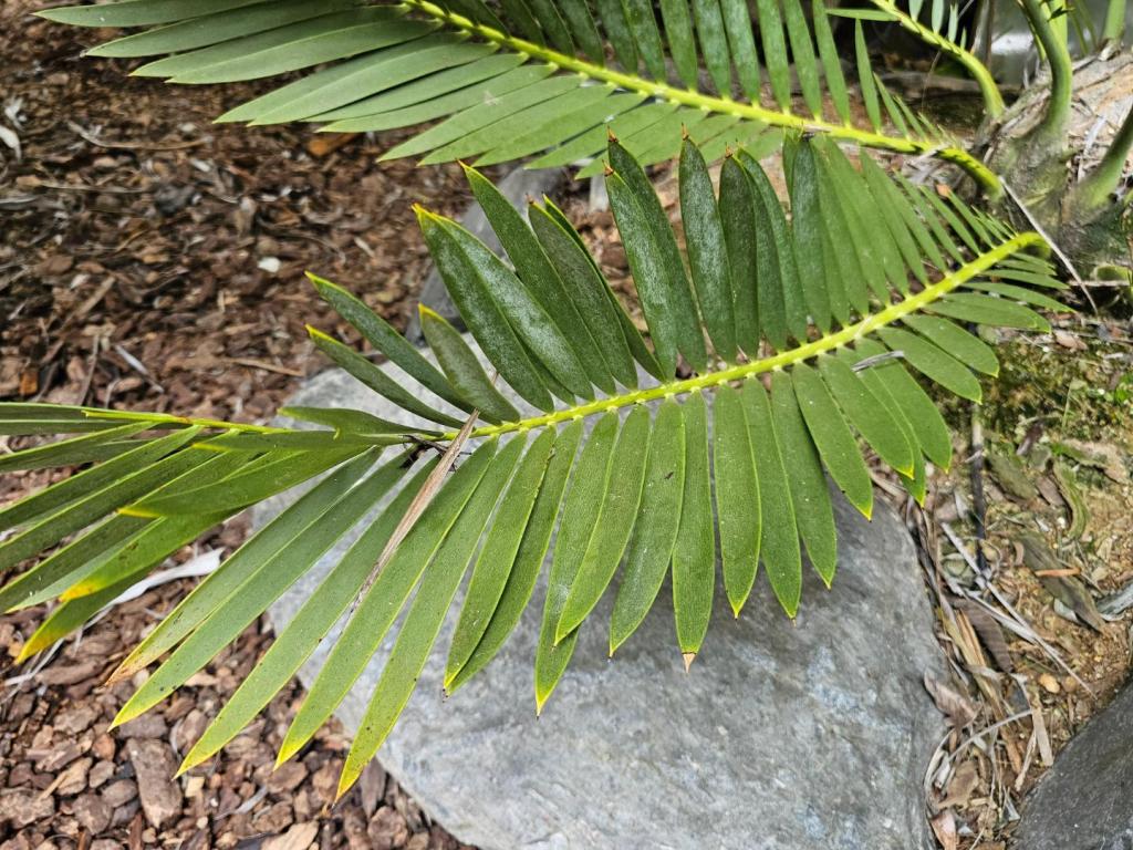 20250721_102059.jpg