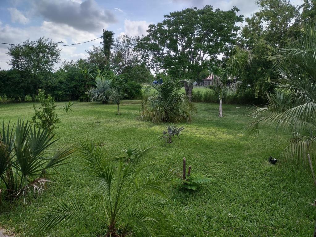 IMG_20250609_170043162_HDR.jpg