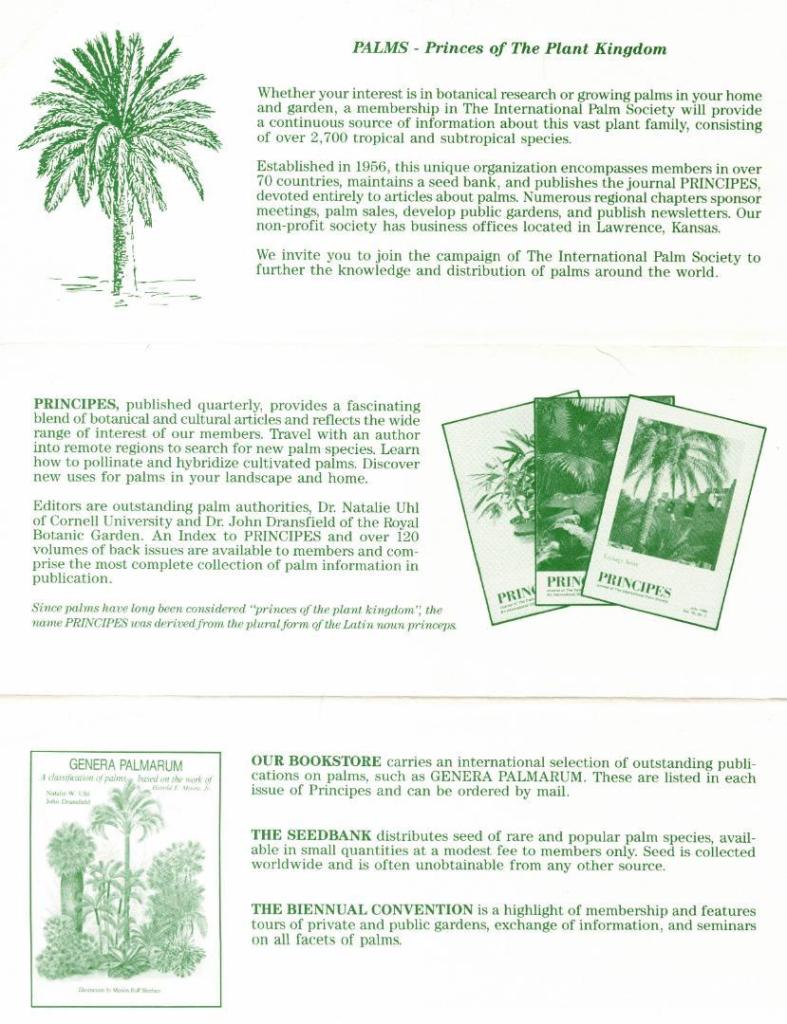 IPS_Brochure_1986_1.thumb.jpg.ae9ee95867cc80c655f0eaf6b31dc4ec.jpg