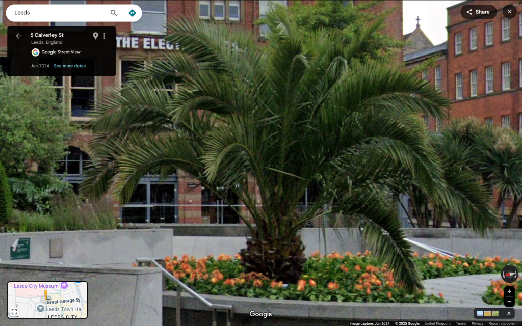 Screenshot2025-07-20at00_46_16.thumb.png.1ab1c8f248a2cd127b9b626f3cbb2127.png