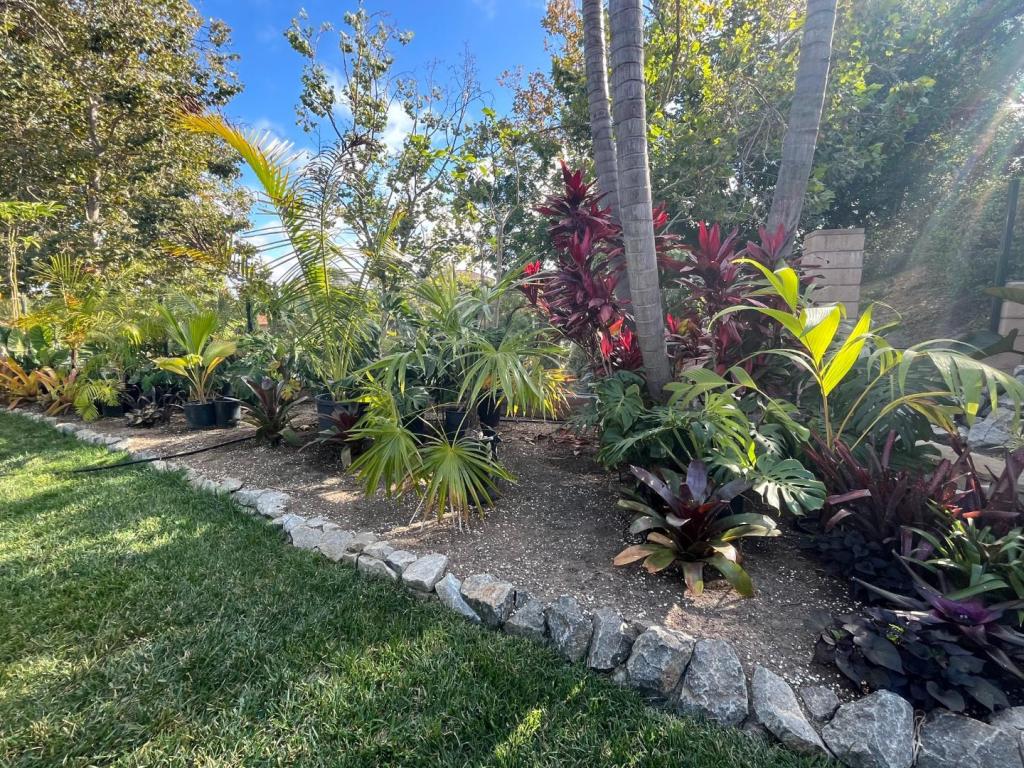 planter.thumb.jpeg.2dd9278007fe1dc020c0091440bc05ae.jpeg