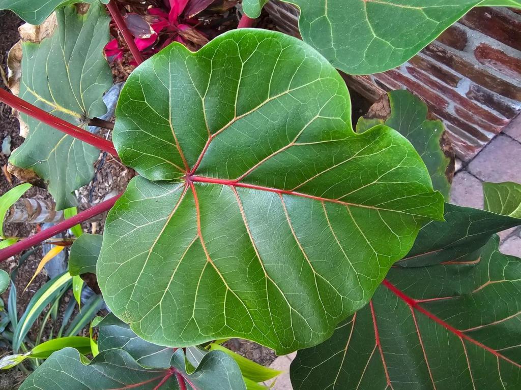 20250820_181634.jpg