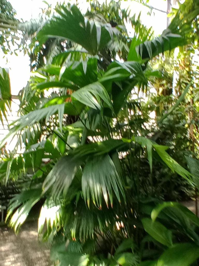 IMG_20250809_152558096.jpg
