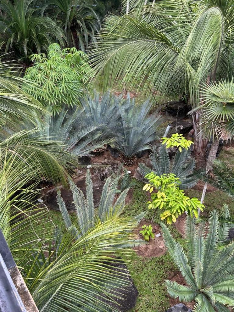 IMG_8131.thumb.jpeg.38f8541cf194bd0fbdbd2a5418fe14b5.jpeg