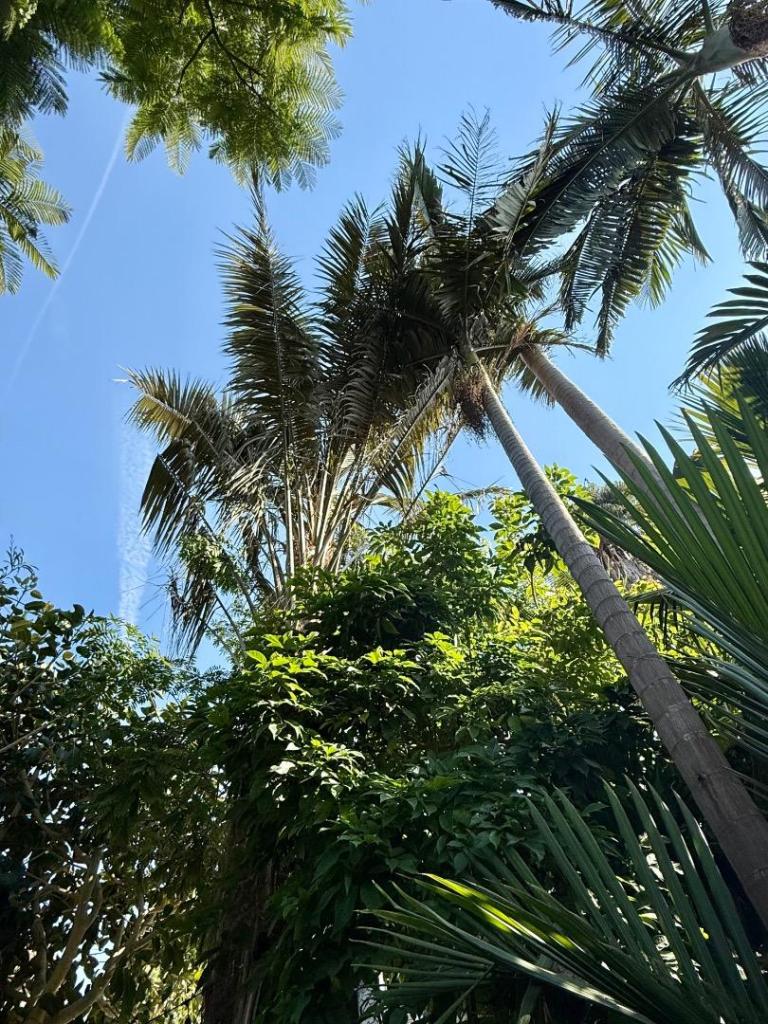 image.thumb.jpeg.b675e808875b2c6cc2588ca8711ead2c.jpeg