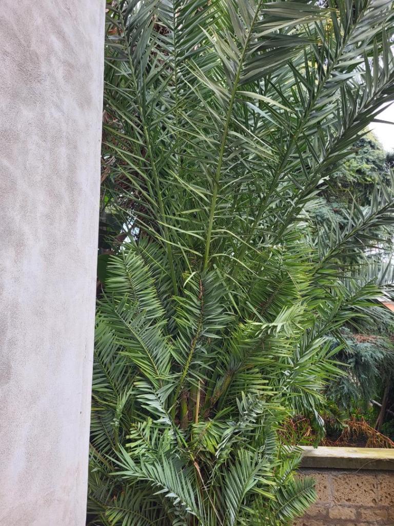 20250112_104250 (1).jpg