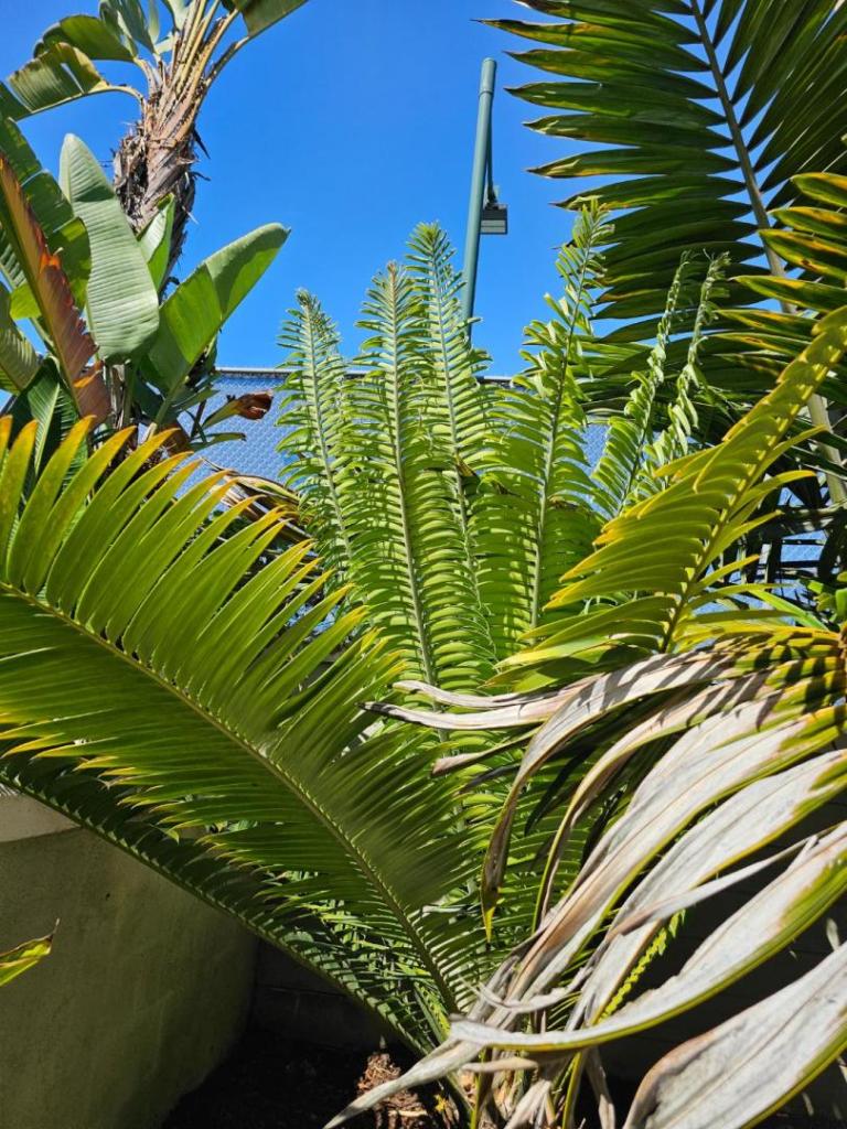 20250903_104719.jpg