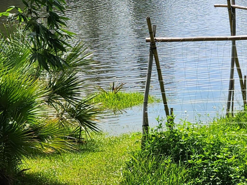 20250910_122827.thumb.jpg.707a6003712690268bafef9c283e8e04.jpg