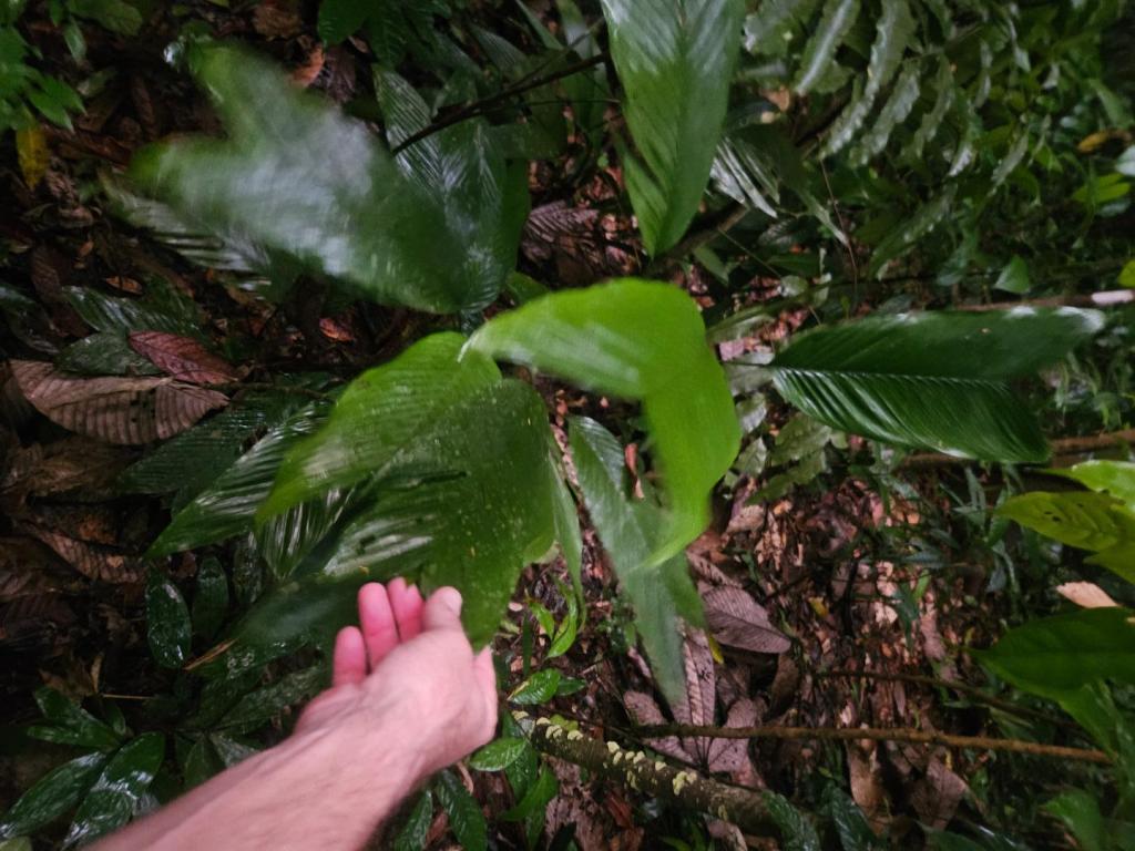20250914_184644.jpg