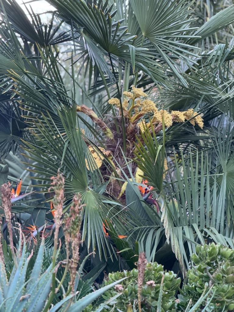 IMG_8305.jpeg
