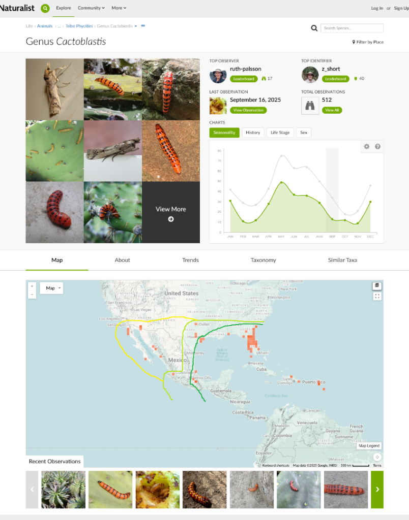 Screenshot2025-09-20at09-49-35GenusCactoblastisiNaturalist.thumb.png.78b7a2f2808011218355efaed02650b3.png
