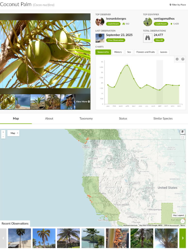 Screenshot2025-09-23at15-11-38CoconutPalm(Cocosnucifera).thumb.png.d35d0ae80640dce0c755657d489b2515.png