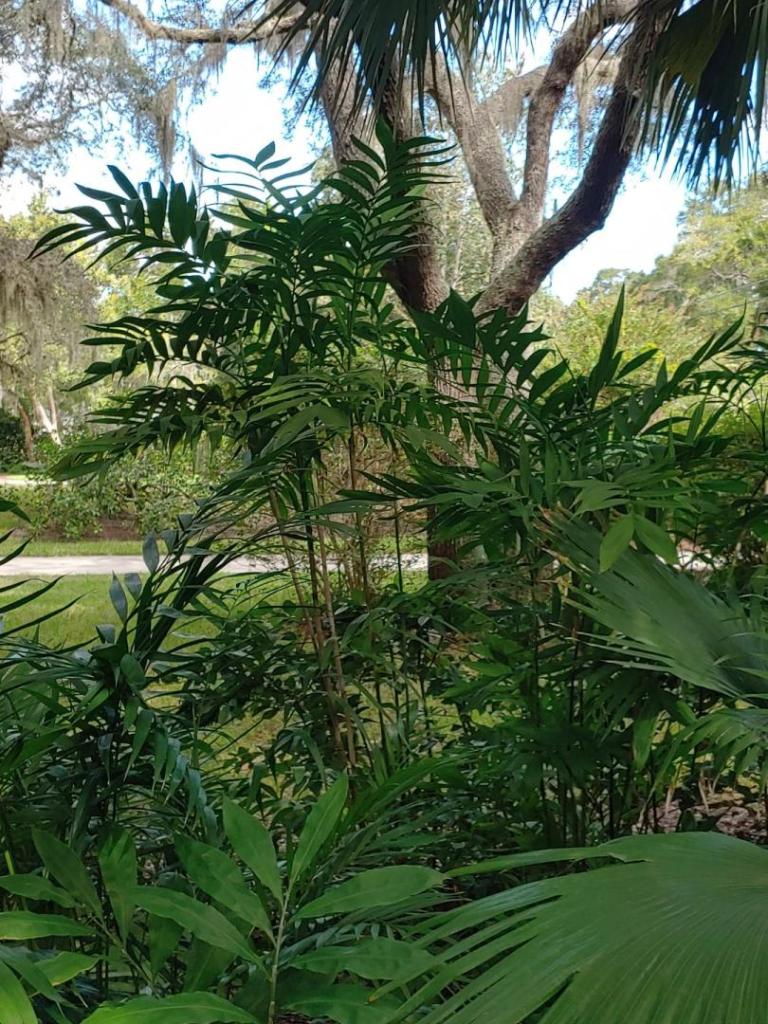 1021251118a_HDR.jpg