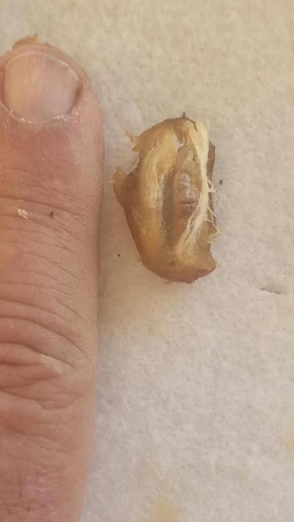 20251001_183026.thumb.jpg.ee0a7095c582abd72b42f0d2ea9089bd.jpg