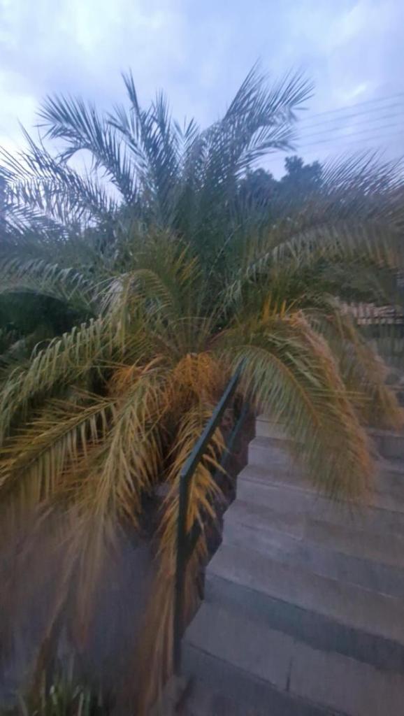 20251001_191445.thumb.jpg.823d24f99ec20fccd4d2adfa81bf2976.jpg
