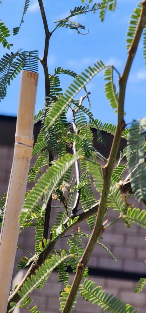 20251003_113355.jpg