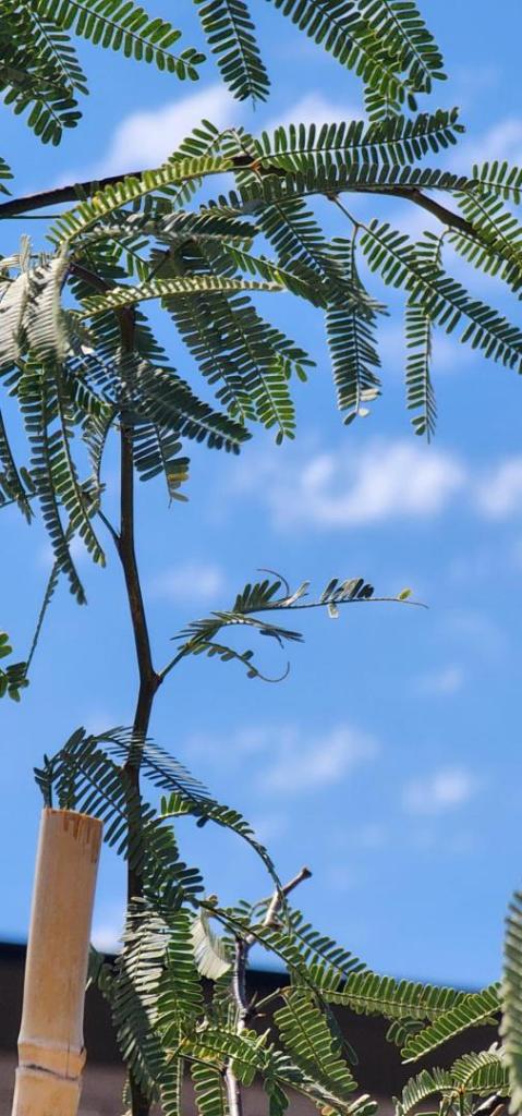 20251003_113359.jpg