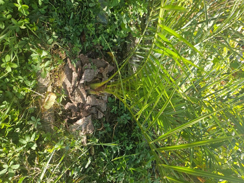 20251004_112216.jpg