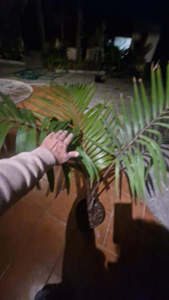 20251011_203216.jpg