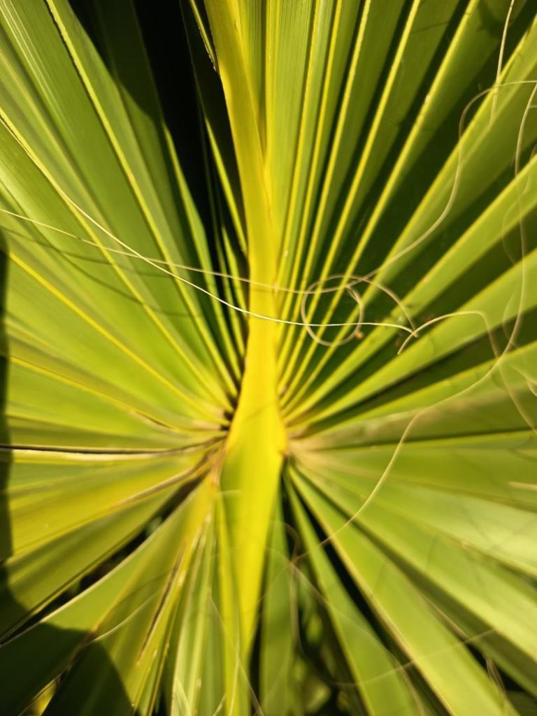 IMG_20251002_173047.jpg